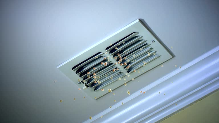 Best Home Air Vent Cleaning  in Senoia, GA