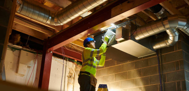 Best Air Duct Sanitizing Services  in Senoia, GA