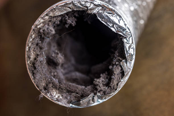 Best Best Air Duct Cleaning Company  in Senoia, GA