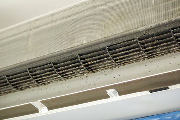 Best Air Duct Cleaning Near Me  in Senoia, GA
