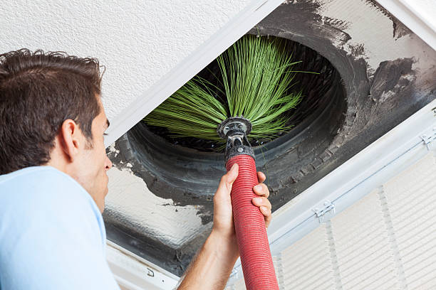 Best Affordable Duct Cleaning Services  in Senoia, GA